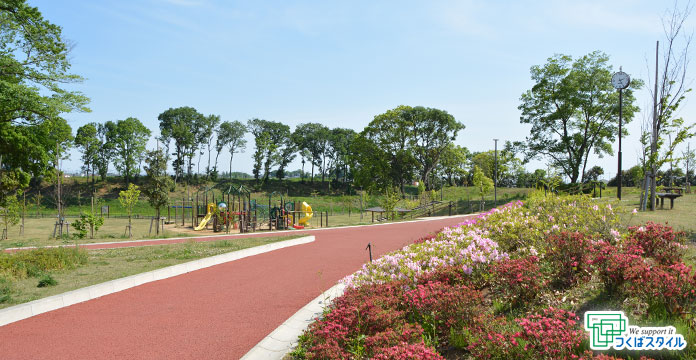 つくばみらい市 - みらいの森公園