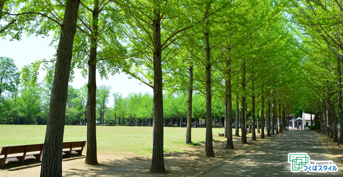 つくば市 - 科学万博記念公園