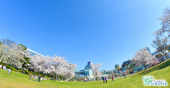 つくば市 - 中央公園