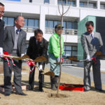 街とサクラと筑波山「千本桜まちづくり事業」