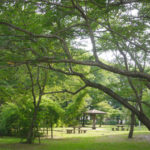 自然をそのまま公園に！「赤塚公園」