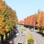 私の大好きな風景！秋色に染まる街つくば