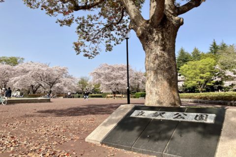 立沢公園（守谷市）