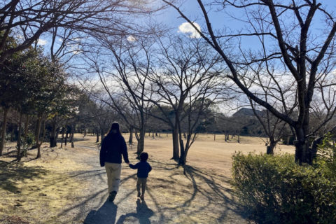 のどかで癒やされる♪ 守谷「さくらの杜公園」