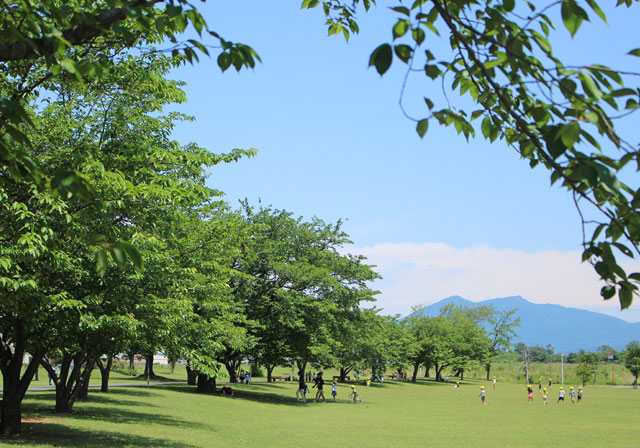 学園の杜公園