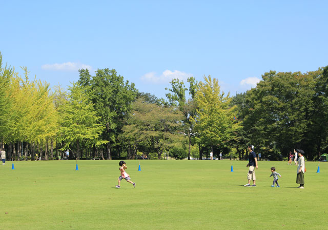 科学万博記念公園