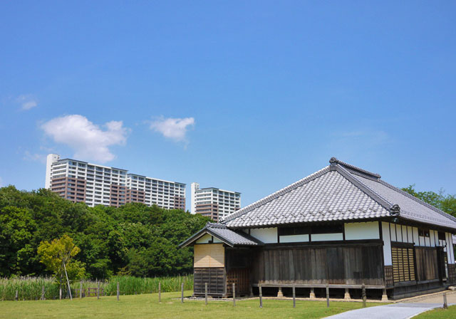 研究学園地区の街並み