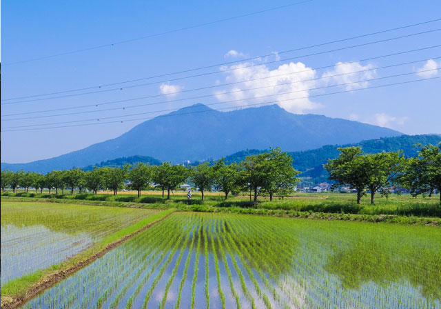 小田地区の田園風景