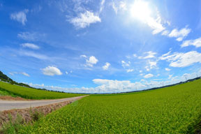 つくば市北部の田園風景