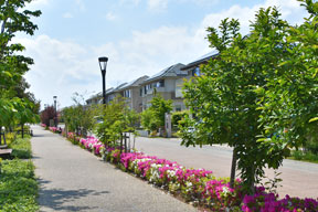 守谷市 松並青葉地区