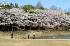 科学万博記念公園