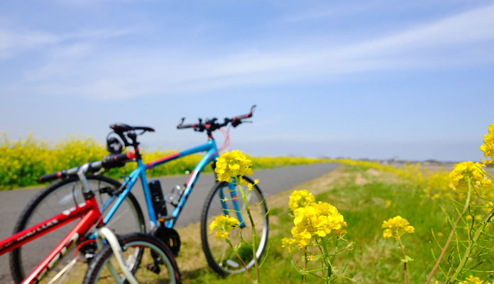 小貝川サイクリングロード