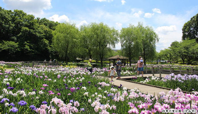 四季の里公園