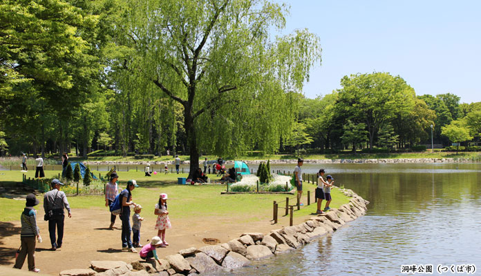 洞峰公園の芝生広場