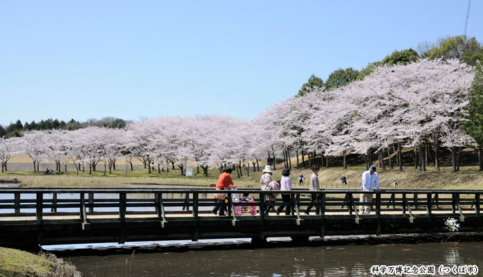 科学万博記念公園