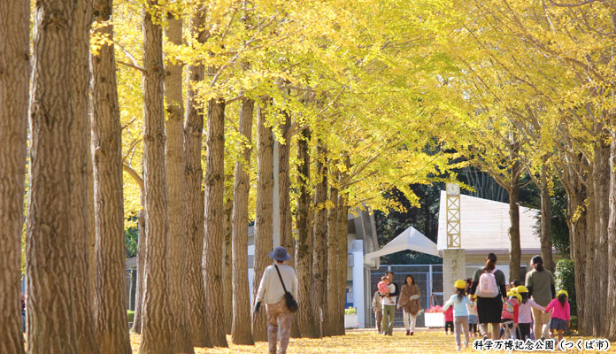 科学万博記念公園