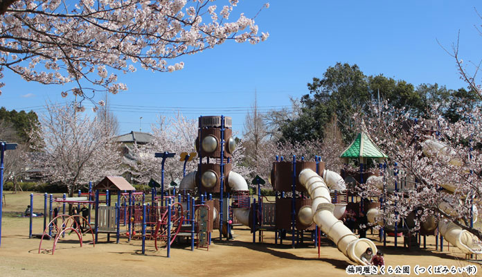 福岡堰さくら公園