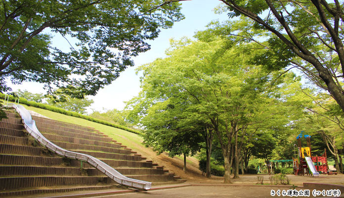 さくら運動公園