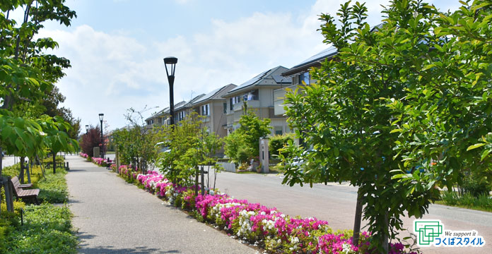 守谷市松並青葉地区