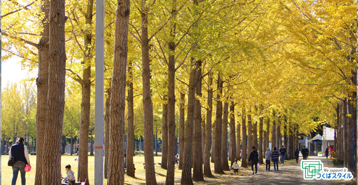 つくば市・科学万博記念公園