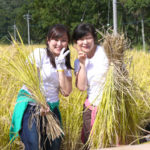 農作物の宝庫茨城県の魅力を伝える「いばらき美菜部」の食育イベント！