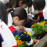 街を彩る「つくば道花の会」