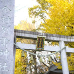 厳かな空気に癒やされる！「金村別雷神社」