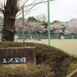 守谷・立沢公園でお花見！