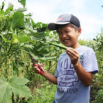 自然の恵み！夏の野菜収穫体験