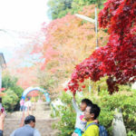 秋を満喫！紅葉を楽しむ筑波山登山・前半