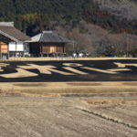 平沢官衙遺跡の芝焼きに行ってきました