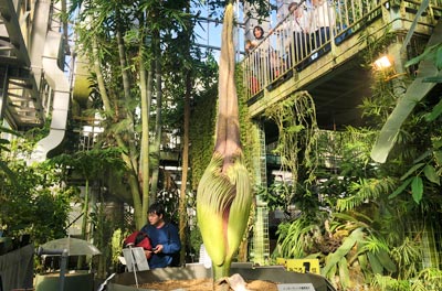 国立科学博物館筑波実験植物園 子どもを育む街 つくばスタイルblog