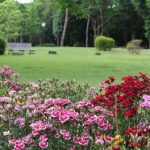 洞峰公園から赤塚公園へサイクリングで気分爽快♪