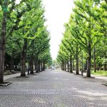 秋の洞峰公園でアスレチックを楽しもう♪