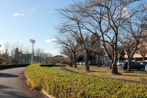 スリル満点 さくら運動公園で芝すべり 子どもを育む街 つくばスタイルblog スリル満点 さくら運動公園で芝すべり 子どもを育む街 つくばスタイルblog
