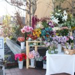 ライフスタイルにお花のスパイスを～Flower shop MajoraM～