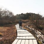 木道の散策路でリフレッシュ ～守谷野鳥のみち～