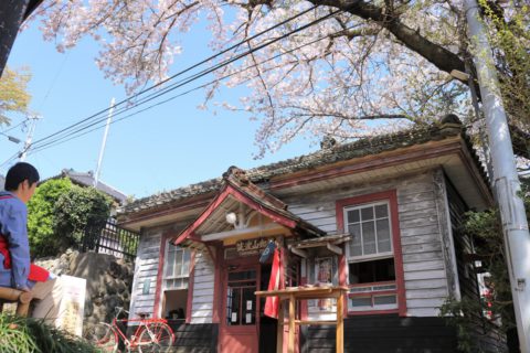 特派員が選ぶ つくばエリア この一枚 特派員 Takako 子どもを育む街 つくばスタイルblog 特派員が選ぶ つくばエリア この一枚 特派員 Takako 子どもを育む街 つくばスタイルblog