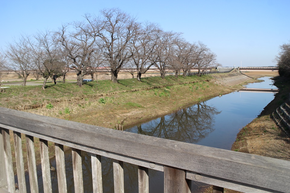 福岡堰さくら公園