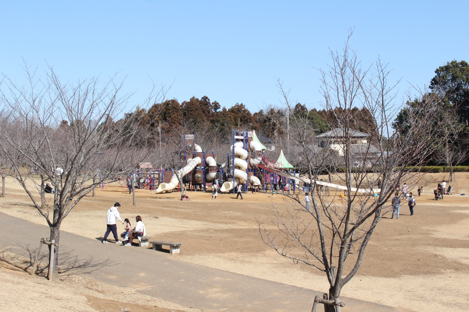 福岡堰さくら公園