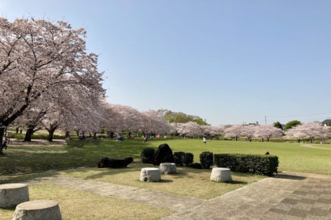 つくばみらい市「絹の台桜公園」