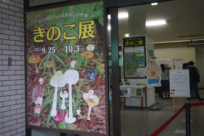 つくばの秋の楽しみ「きのこ展」