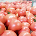完熟トマトに行列！守谷で人気の直売所「渋谷トマト」