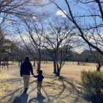 のどかで癒やされる♪ 守谷「さくらの杜公園」