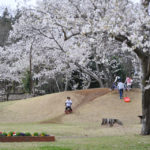 春のお出かけに♩自然あふれる「赤塚公園」