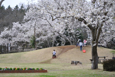 春のお出かけに♩自然あふれる「赤塚公園」