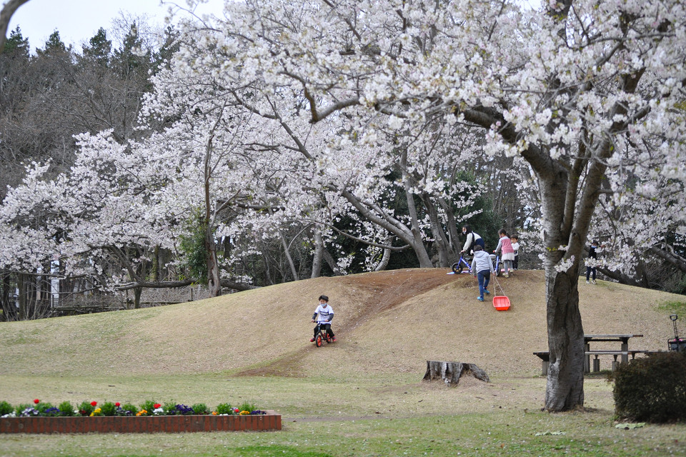 春のお出かけに♩自然あふれる「赤塚公園」