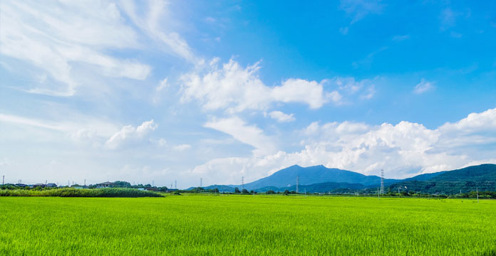筑波山と米どころ