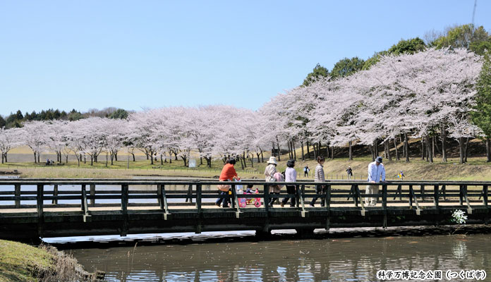 科学万博記念公園（つくば市）