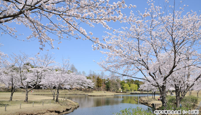 科学万博記念公園（つくば市）